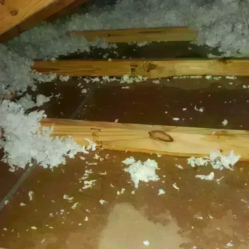 Attic Water Damage in Gorman, NC